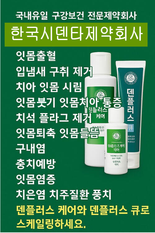 덴플러스로 스케일링 하세요